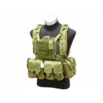 TMC Жилет RRV Plate Carrier тип MOLLE, 4 съемных элемента, олива (TMC2033-OD)