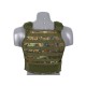 ACM HARD ARMOR PLATE CARRIER type vest - Marpat