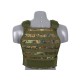 ACM HARD ARMOR PLATE CARRIER type vest - Flectarn