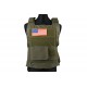 Personal Body Armor - olive [GFT]