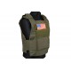 Personal Body Armor - olive [GFT]