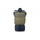 Armor Plate Carrier tactical vest - olive [GFT]