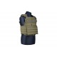 Armor Plate Carrier tactical vest - olive [GFT]